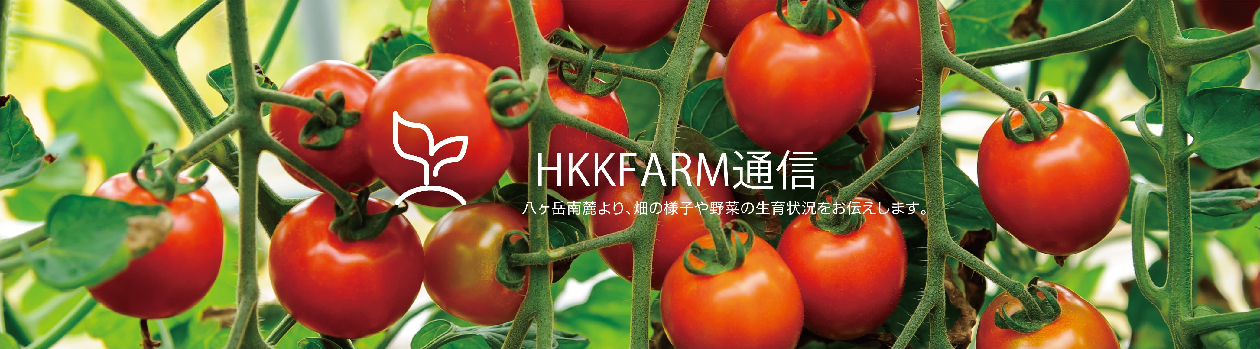 ブログメイン画像