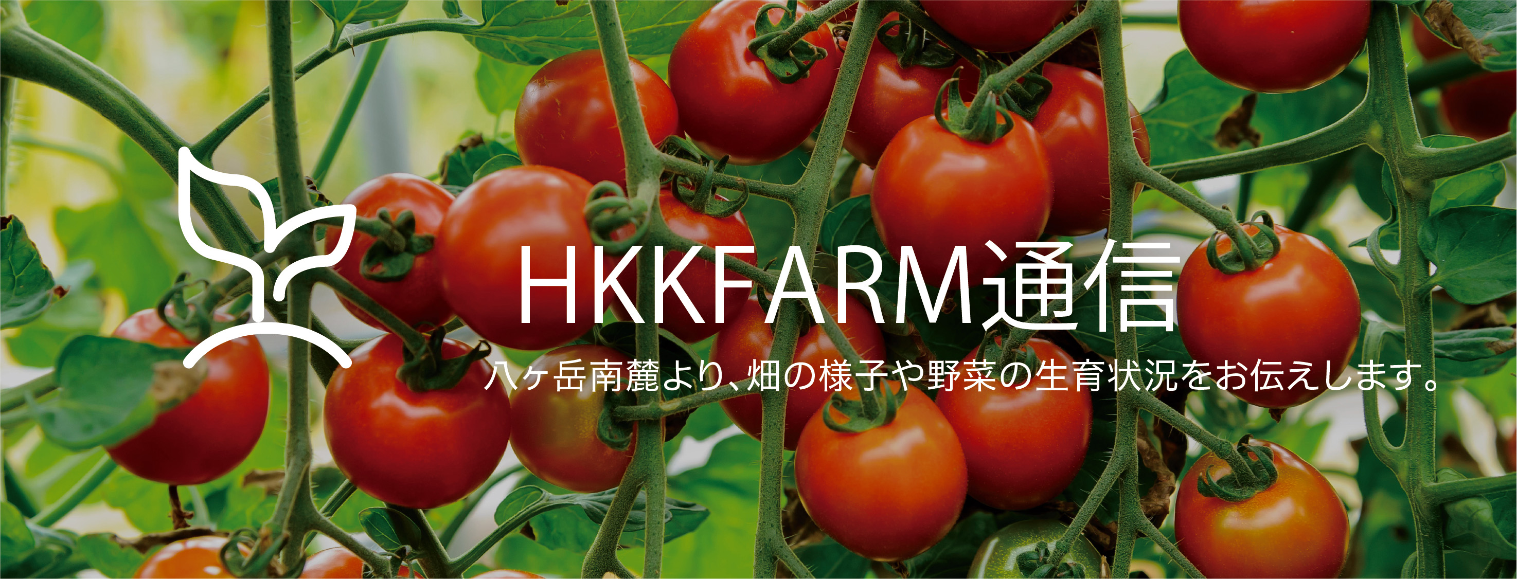 ブログメイン画像