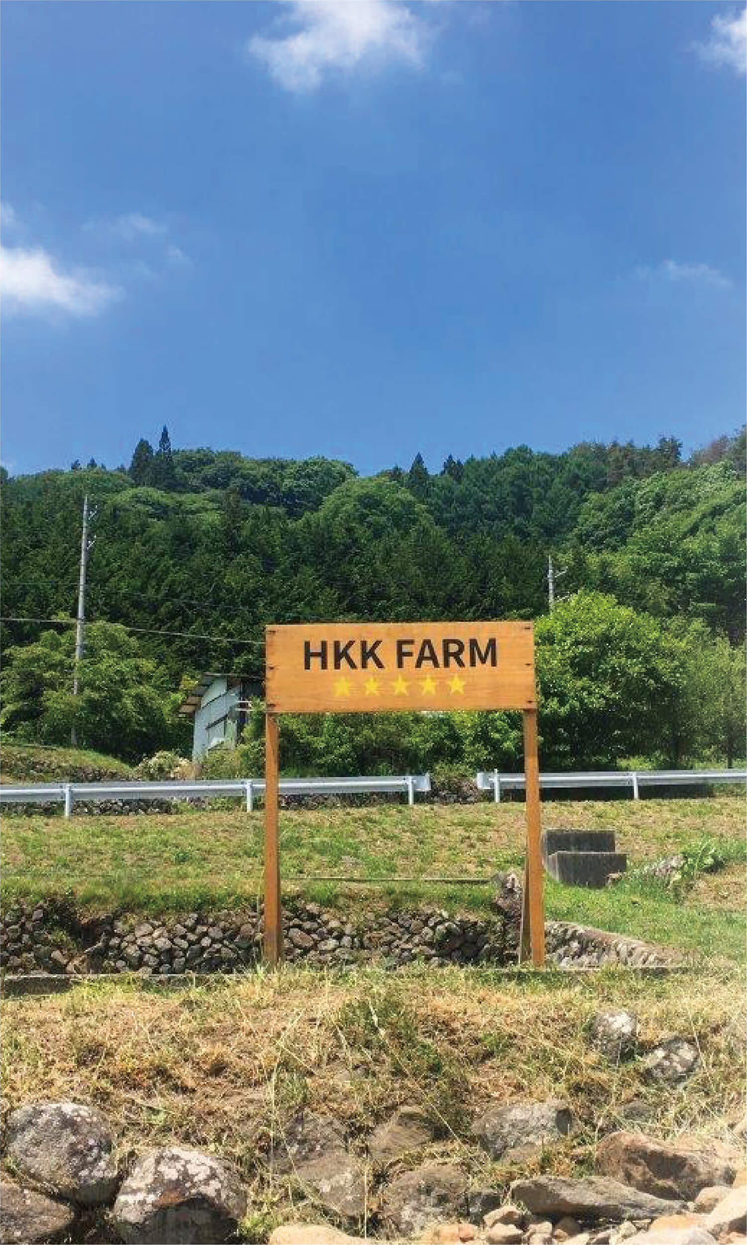 モバイルメイン画像